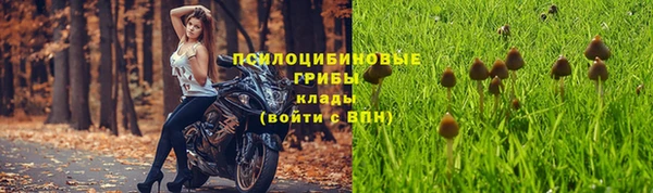 бутират Алексеевка