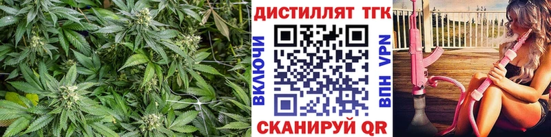 закладки  Майкоп  ТГК вейп 