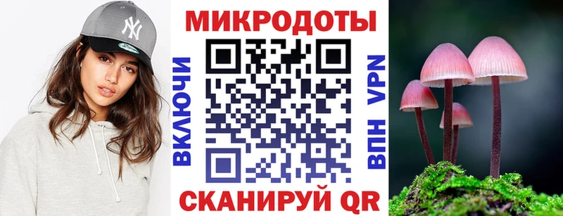 Псилоцибиновые грибы Psilocybe  MEGA зеркало  Майкоп 